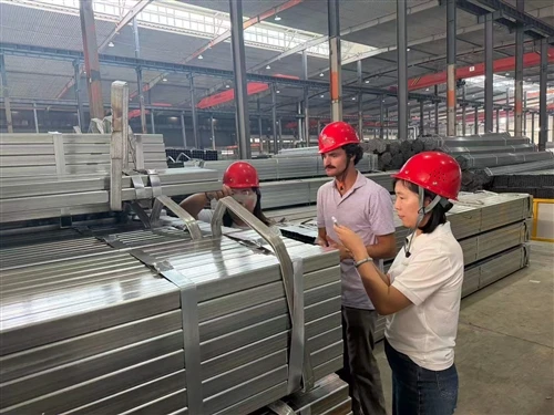 مشتریان آمریکایی از کارخانه فولاد GNEE بازدید می کنند